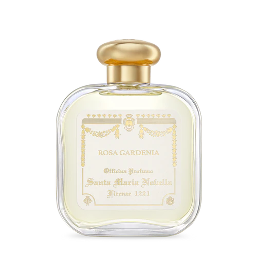 Rosa Gardenia